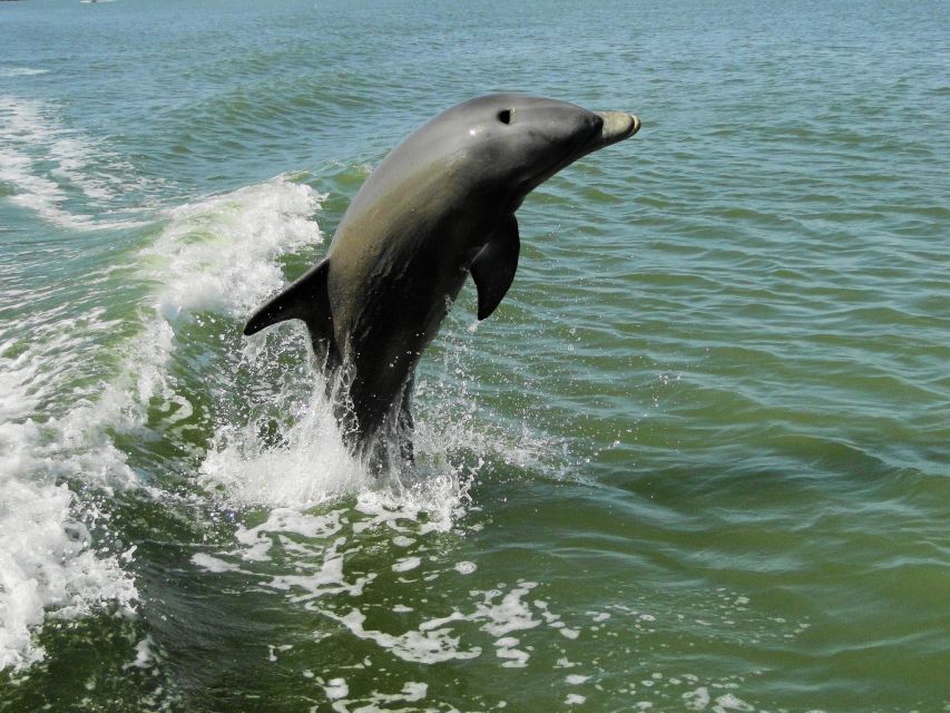 Everglades: Boat Assisted Kayak Eco Tour - Kayaking through quieter waterways