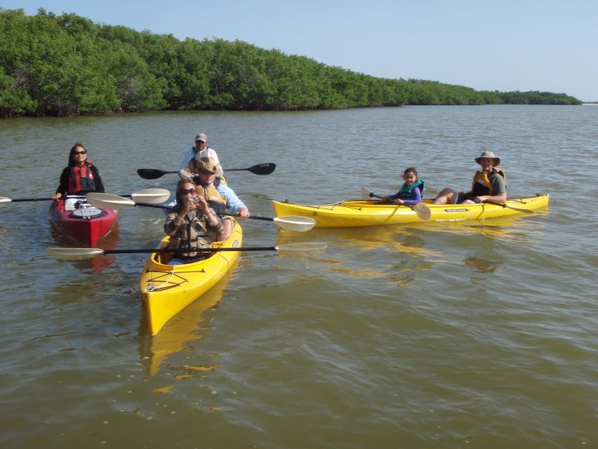 Everglades: Boat Assisted Kayak Eco Tour - Wildlife and photography prospects
