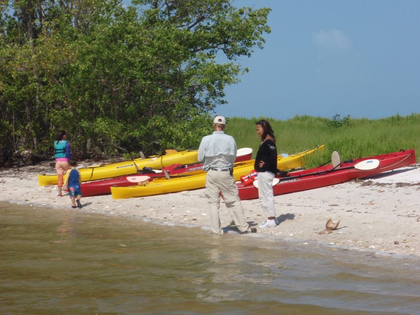 Everglades: Boat Assisted Kayak Eco Tour - Starting at Parkway Marina on Chokoloskee Island