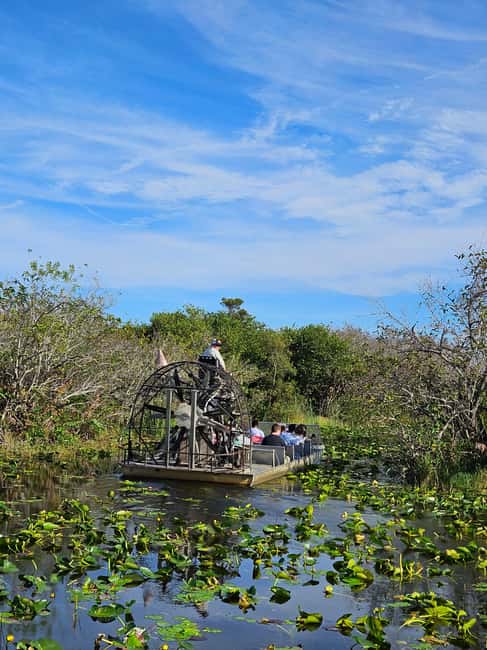 Everglades: boat tour with transportation& entrance included - From Miami Beach to the Everglades