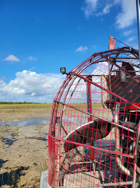 Everglades: boat tour with transportation& entrance included - Should you book it?