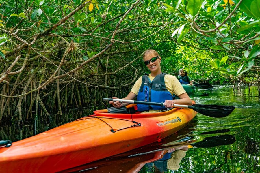 Everglades City: Guided Kayaking Tour and Airboat Ride - Why the kayak comes first