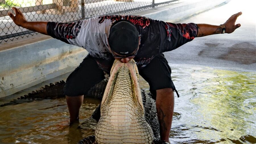 Everglades City: Guided Kayaking Tour and Airboat Ride - Airboat across 259 acres of grasslands