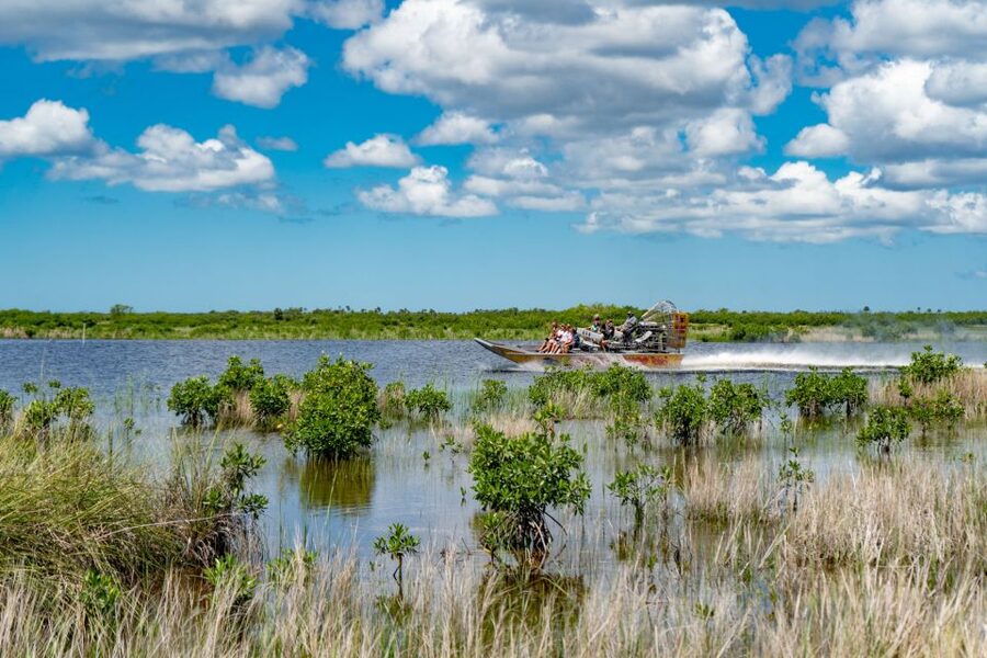 Everglades City: Guided Kayaking Tour and Airboat Ride - A short walk through the Everglades City Boardwalk