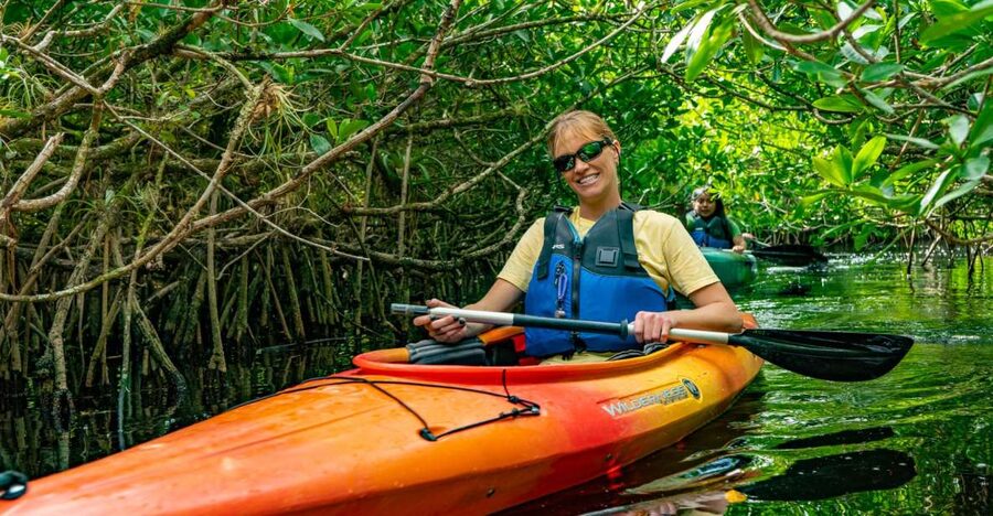 Everglades City: Guided Kayaking Tour and Airboat Ride - Should you book this Everglades tour?