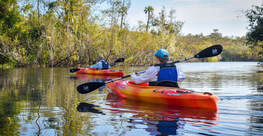 Everglades City: Guided Kayaking Tour of the Wetlands - Paddling into the Everglades backcountry