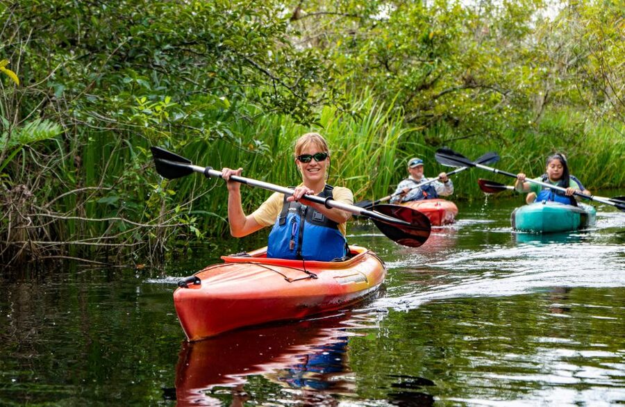 Everglades City: Guided Kayaking Tour of the Wetlands - Is $102 a good value?