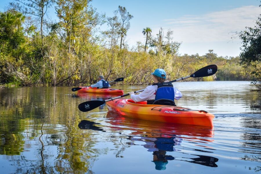Everglades City: Guided Kayaking Tour of the Wetlands - The meeting point and ride to the launch