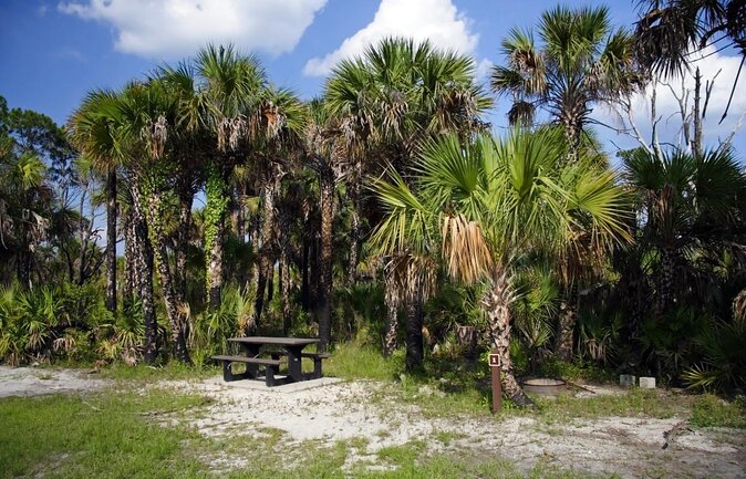 Everglades Day Safari from Ft Lauderdale - Why this Everglades tour covers more ground than most