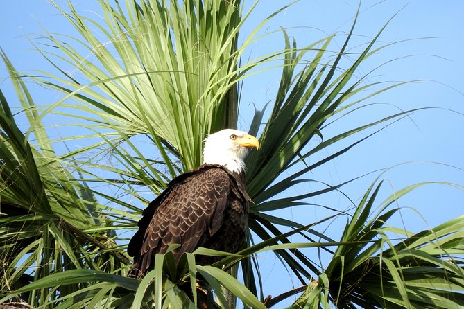 Everglades Day Safari from Ft Lauderdale - Smallwood Store adds the human story