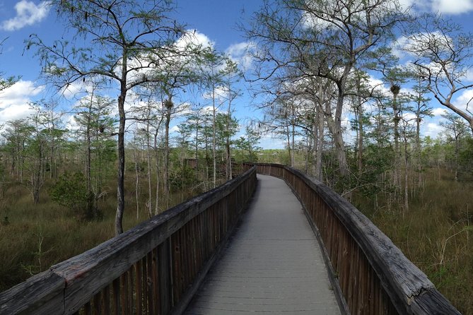 Everglades Day Safari from Ft Lauderdale - What to bring and how to judge the value