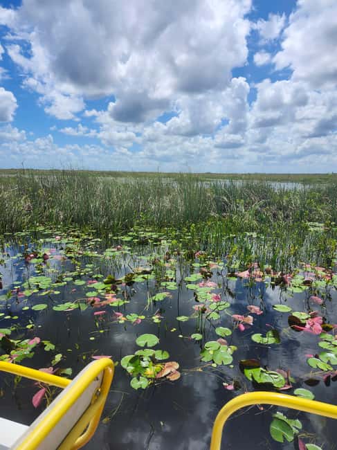 Everglades Eco Airboat Small-Group Tour & 2 Private Islands - Why this feels different from a standard Everglades outing