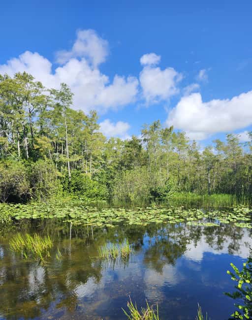 Everglades Eco Airboat Small-Group Tour & 2 Private Islands - One hour on a small, open-air airboat