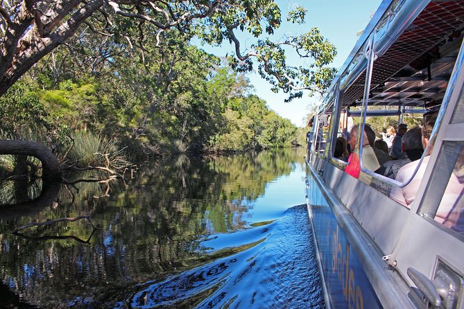 Everglades Explorer - Noosa Everglades Tour - Is the $118.35 price good value?