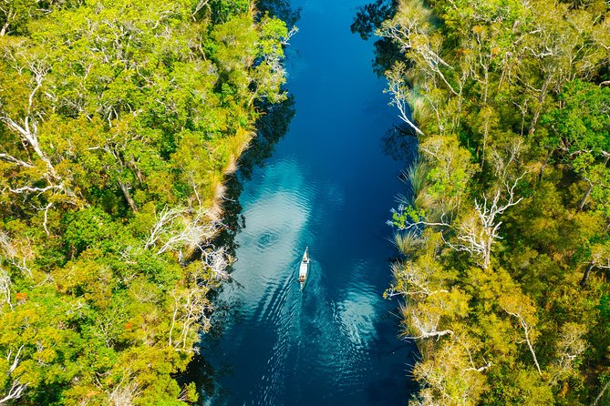 Everglades Explorer - Noosa Everglades Tour - Who will enjoy this tour most?