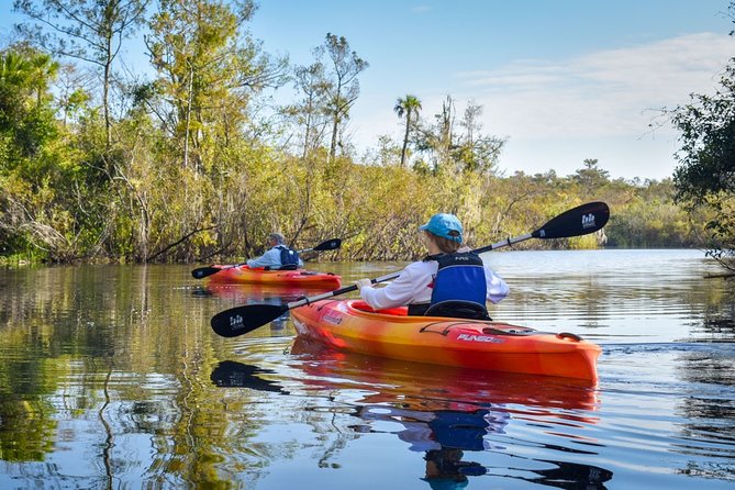 Everglades Guided Kayak Tour - Wildlife is possible, but never guaranteed