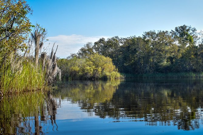 Everglades Guided Kayak Tour - How hard is the paddling?