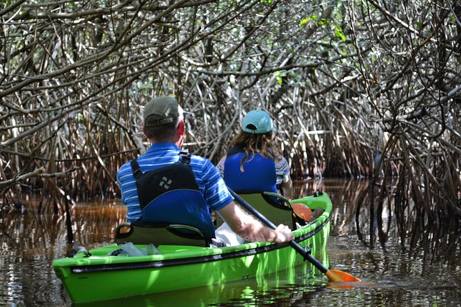 Everglades Kayak Safari Adventure Through Mangrove Tunnels - Why the Turner River makes this kayak trip different
