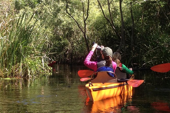 Everglades Kayak Safari Adventure Through Mangrove Tunnels - Safety talk, gear, and getting on the water