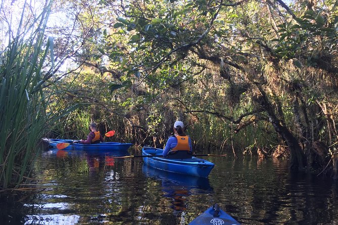 Everglades Kayak Safari Adventure Through Mangrove Tunnels - Wildlife watching without a guarantee