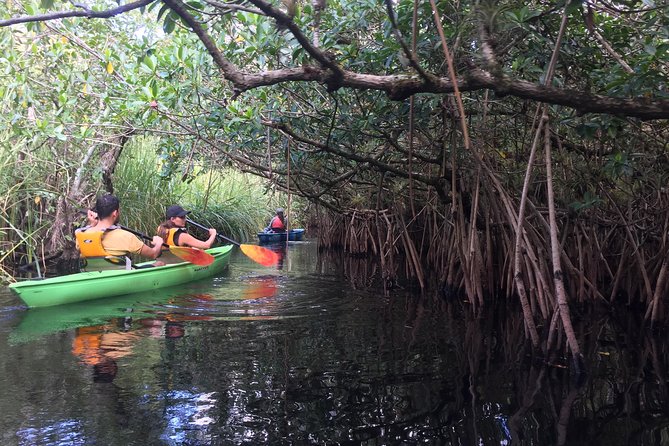 Everglades Kayak Safari Adventure Through Mangrove Tunnels - Is $99 a fair price?