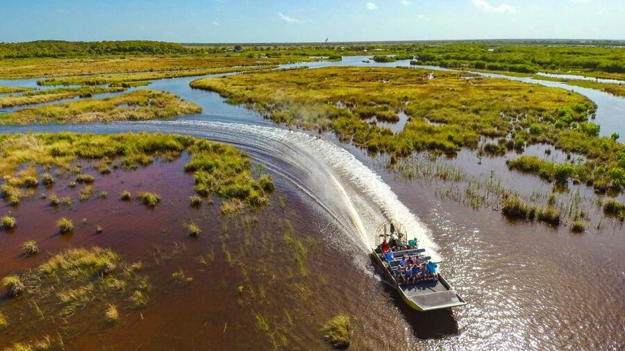 Everglades: Mangrove, Grassland Airboat Tours, & Boardwalk - What to bring for comfort