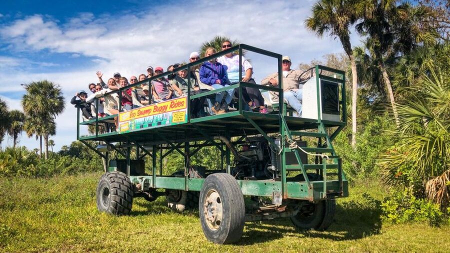 Everglades: Mangrove Maze Airboat Tour and Boardwalk - A fast start in the mangrove maze
