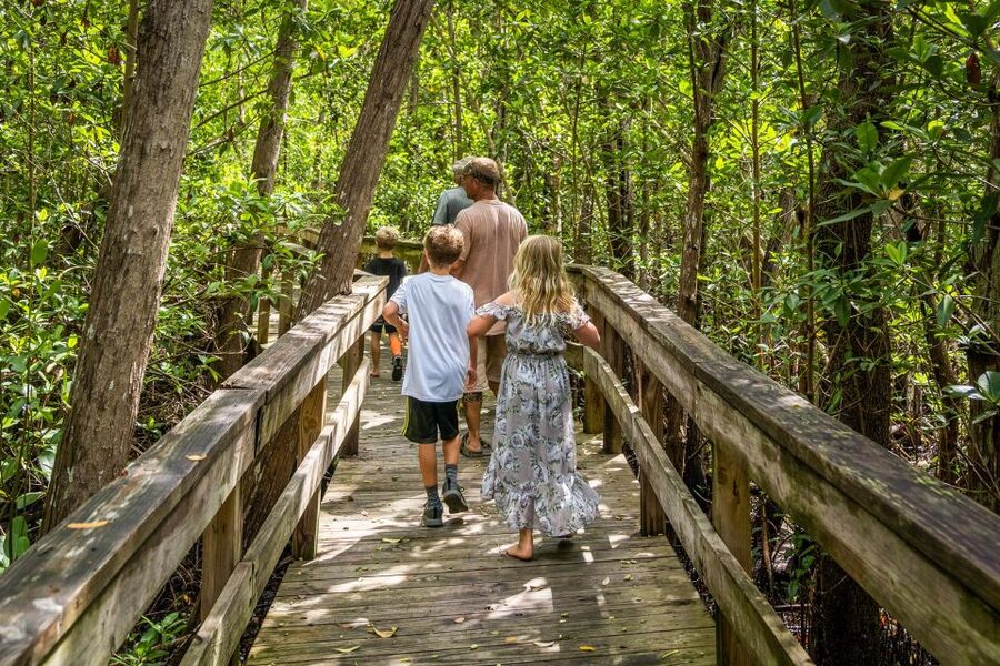 Everglades: Mangrove Maze Airboat Tour and Boardwalk - Optional buggy viewing and the animal sanctuary