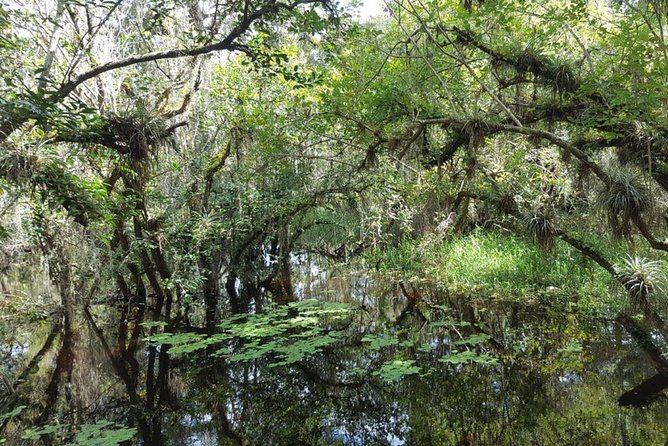 Everglades National Park Biologist Led Adventure: Cruise, Hike + Airboat - The airboat and the River of Grass