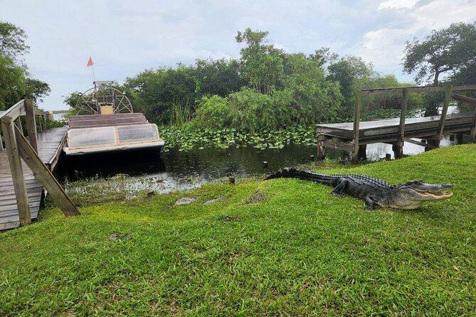 Everglades National Park Biologist Led Adventure: Cruise, Hike + Airboat - A local lunch in Chokoloskee