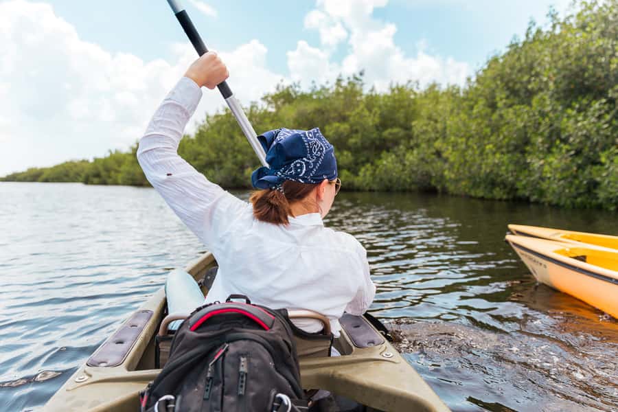 Everglades National Park: Mangrove Tunnel Kayak Eco-Tour - Key points at a glance