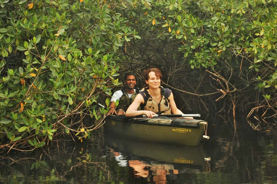 Everglades National Park: Mangrove Tunnel Kayak Eco-Tour - Entering the Everglades at 32016 Tamiami Trail E