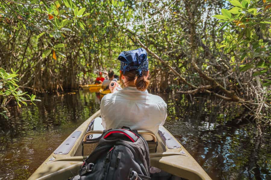 Everglades National Park: Mangrove Tunnel Kayak Eco-Tour - Wildlife watching from a quiet kayak