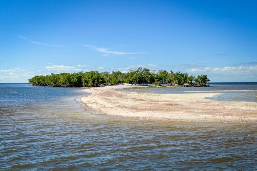 Everglades National Park: Pontoon Boat Tour & Boardwalk - What the $60 price really covers