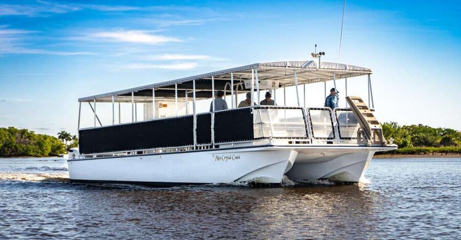 Everglades National Park: Pontoon Boat Tour & Boardwalk - Watching for dolphins, manatees, turtles, and birds