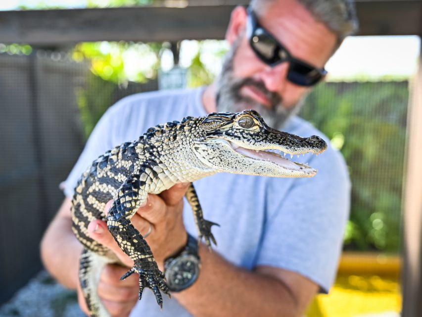 Everglades: Sawgrass Park Day Time Airboat Tour & Exhibits - Key points to know before you go