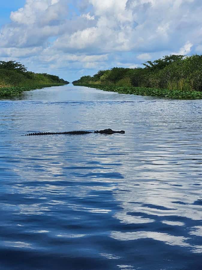 Everglades Small Group on Airboat with Transportation - Why the longer Everglades boat ride matters
