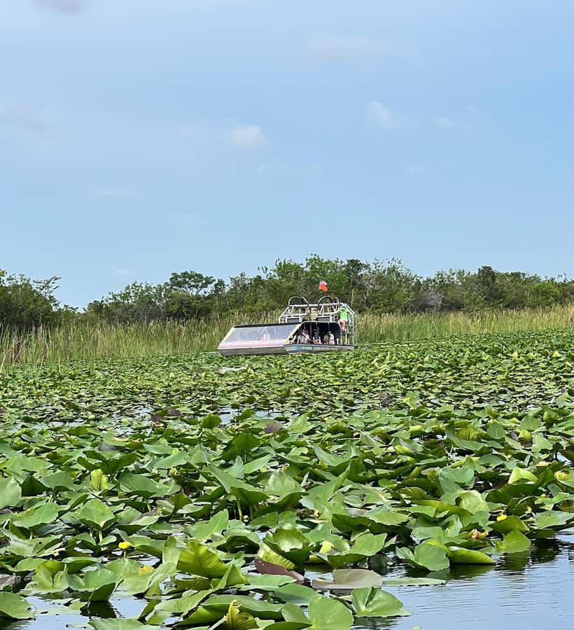 Everglades Small Group on Airboat with Transportation - Practical tips for a smoother morning