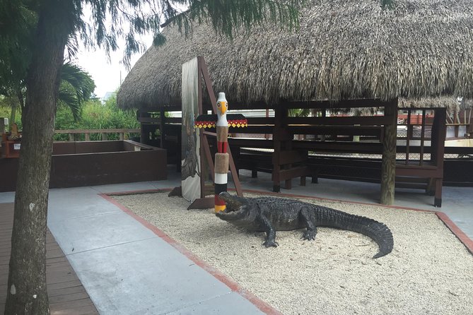 Everglades Small-Group Tour from Miami with Transportation - The real experience: an airboat ride, not a national park visit