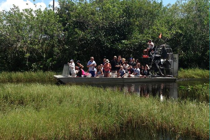 Everglades Small-Group Tour from Miami with Transportation - The alligator program and park time