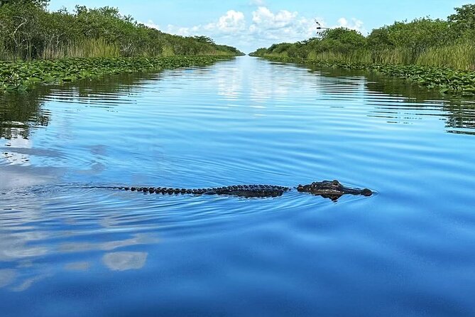 Everglades Small-Group Tour from Miami with Transportation - How the timing really works