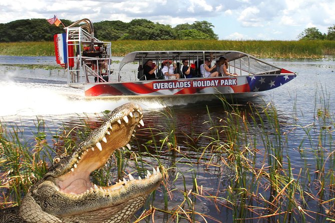 Everglades VIP Airboat Tour with Transportation Included - Who gets the most from this tour