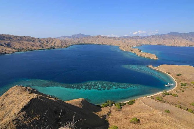 Exclusive Early Bird Komodo Tour: Beat the Crowds by Speed Boat - A long day that starts before sunrise