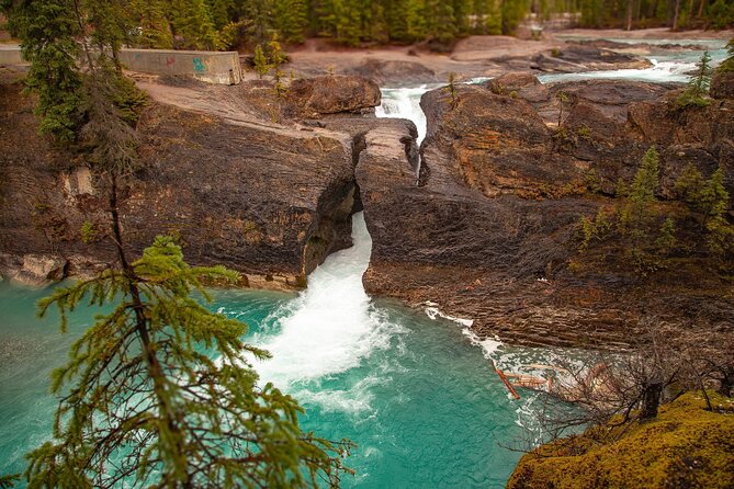 Explore 3 National Parks - Exclusive Small Group Tour - Emerald Lake starts the British Columbia portion