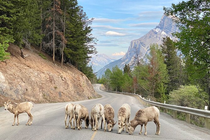 Explore 3 National Parks - Exclusive Small Group Tour - Lake Louise gives you the longest major stop