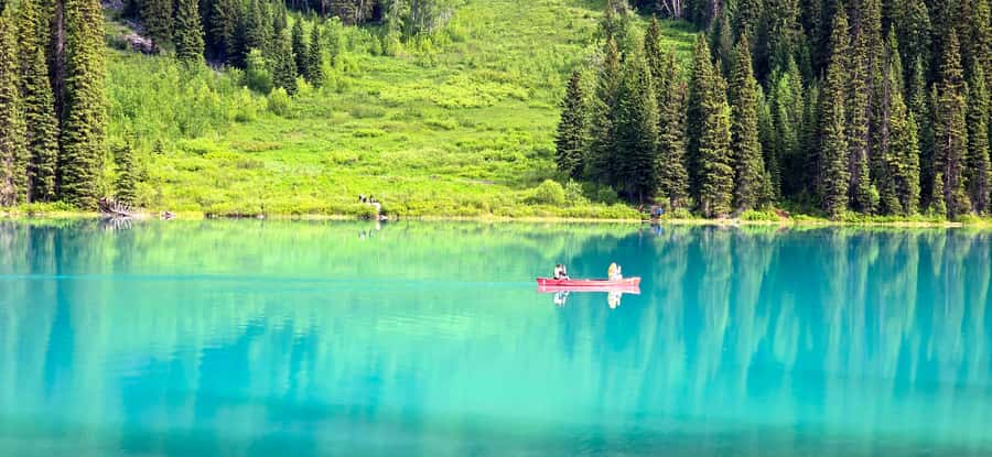 Explore 9 Iconic Banff Spots in 1 Epic Day!(Pax 12/Group) - Why this Banff day tour earns a place on your plans