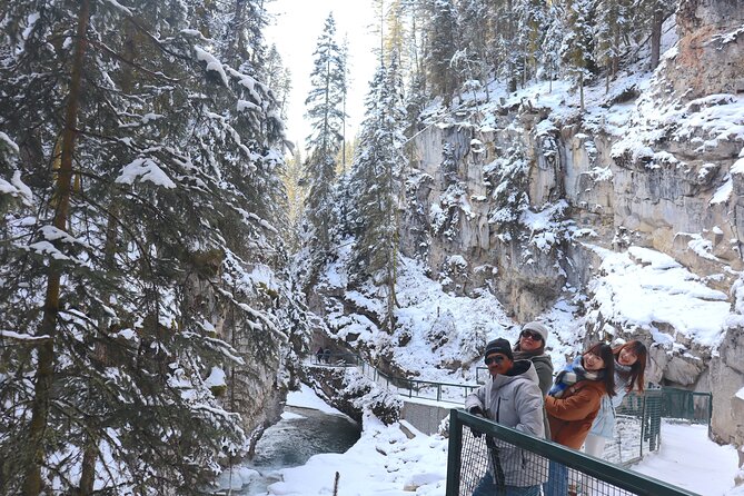 Explore Banff National Park with Our Premium Day Tour - Bow Falls, Castle Mountain, and the short viewpoints