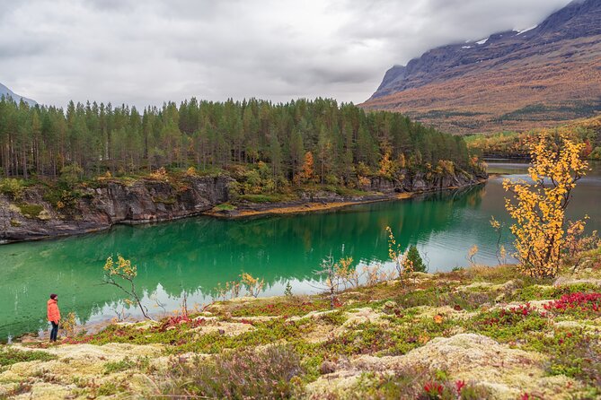 Explore the Norwegian Fjords and the Wildlife from Abisko. - Is $176 a fair price?