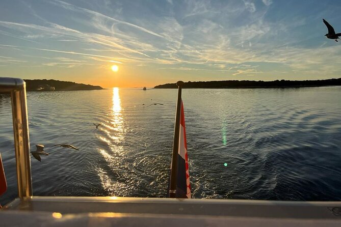 Fantastic DOLPHIN & SUNSET TOUR with dinner ( Pula-NP BRIJUNI ) - Veliki Brijun, the archipelago’s main island