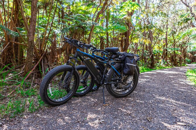Fat Tire E-Bike Rental - Volcanoes National Park - Rain, Cold, and Fast Weather Changes